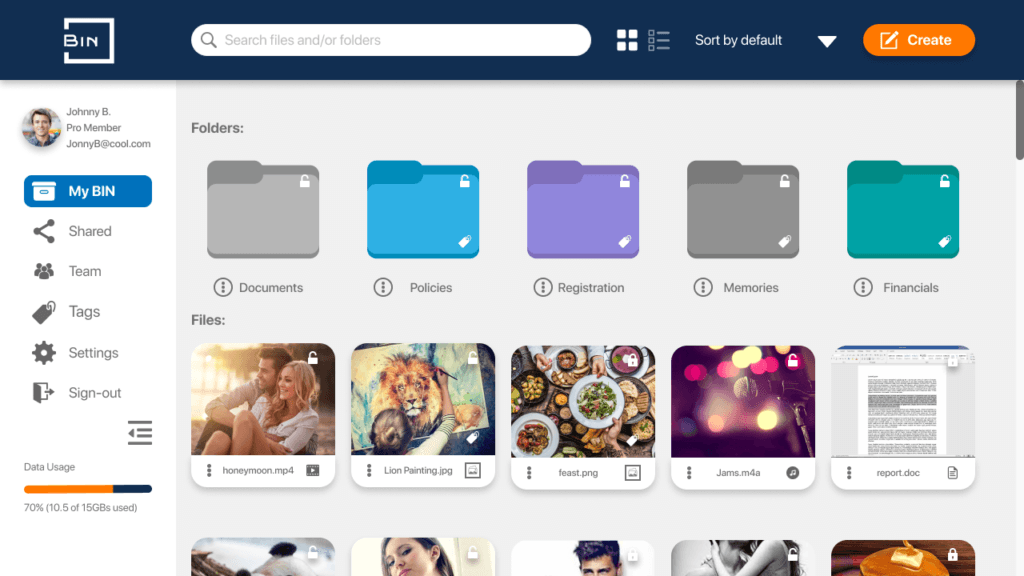 Bin Desktop main dashboard