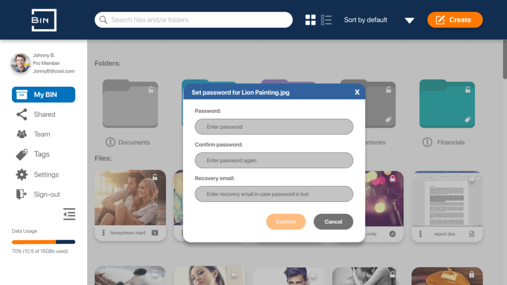 Bin password modal desktop